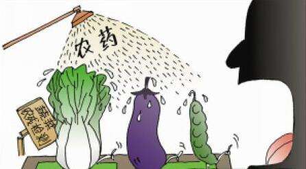 道立捷出大招去除蔬菜的農(nóng)藥殘留？--氣相色譜儀